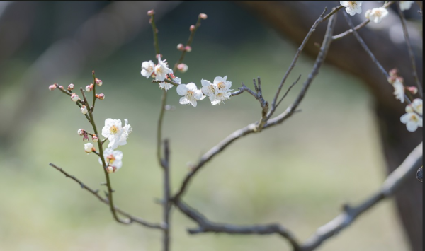 おはようございます☀️