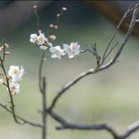 おはようございます☀️