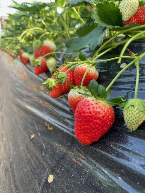おはようございます🌞