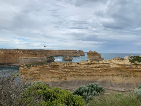 おはようございます✨