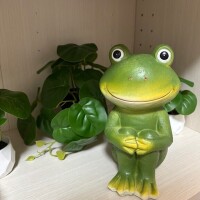 おはようございます