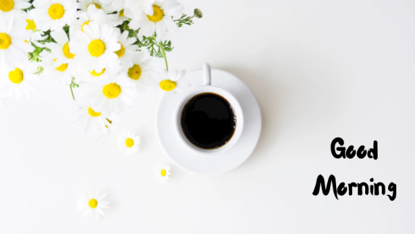 おはようございます