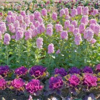 おはようございます💕