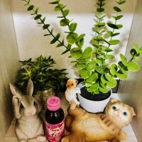 おやすみなさい💖