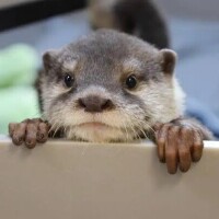 Re: 千葉ルーム✨