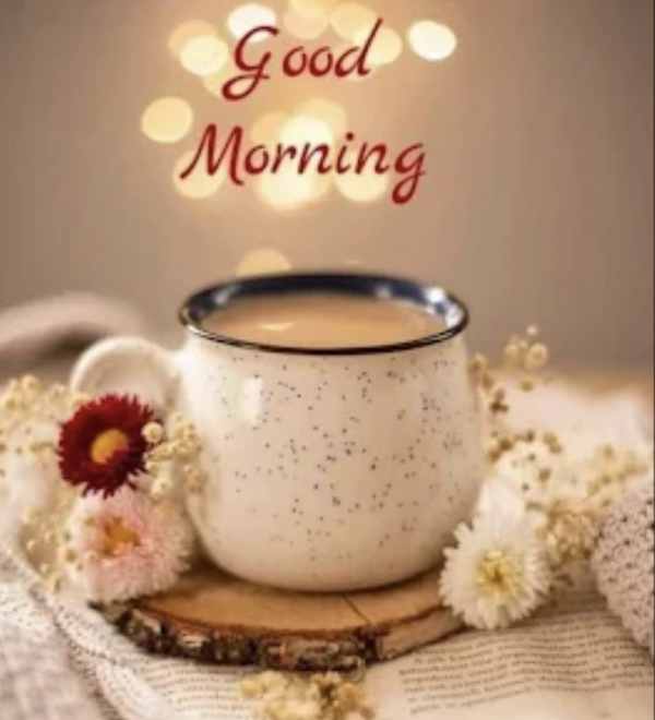 おはようございます☀️