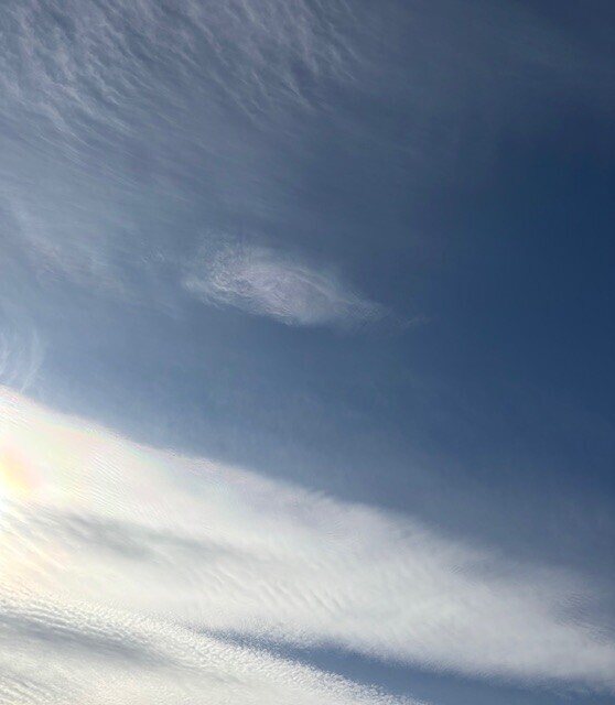 おはようございます