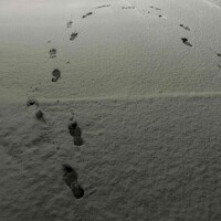 積もりましたね⛄️