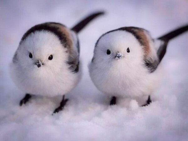 Re: 千葉ルーム✨