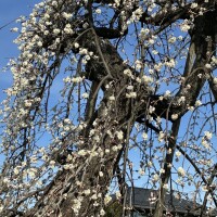 おはようございます💕