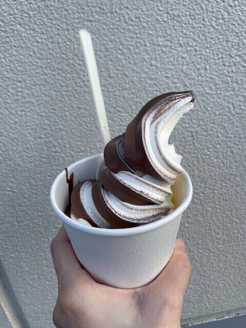 おはようございます🐨