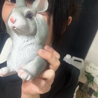 支度整いました🐣✨