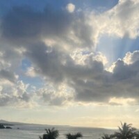 おはようございます❤︎