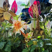 おはようございます💖