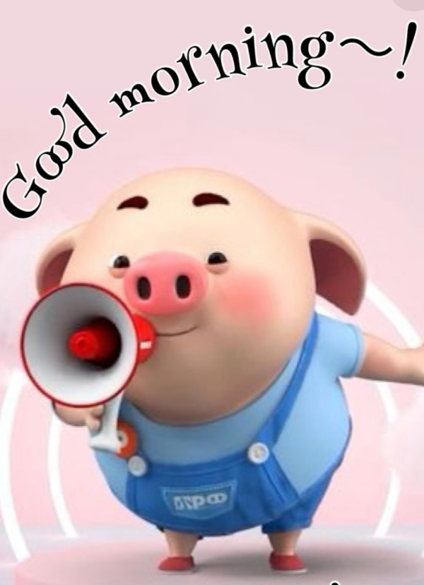 おはようございます☀️