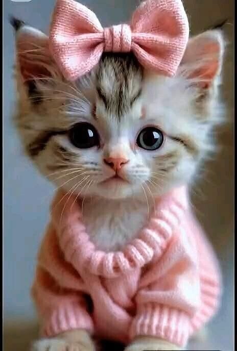 本日もありがとうございました