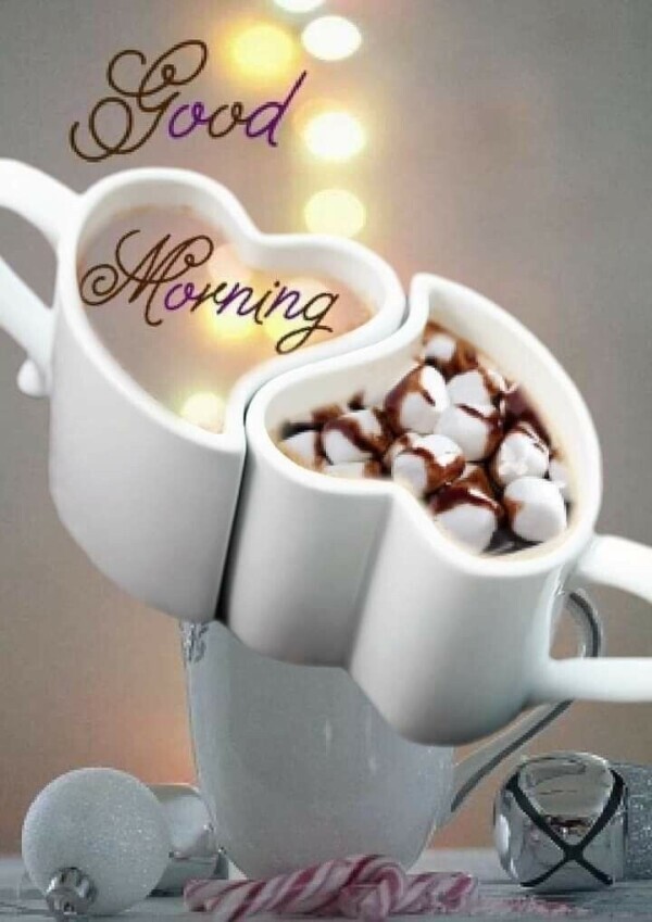 おはようございます