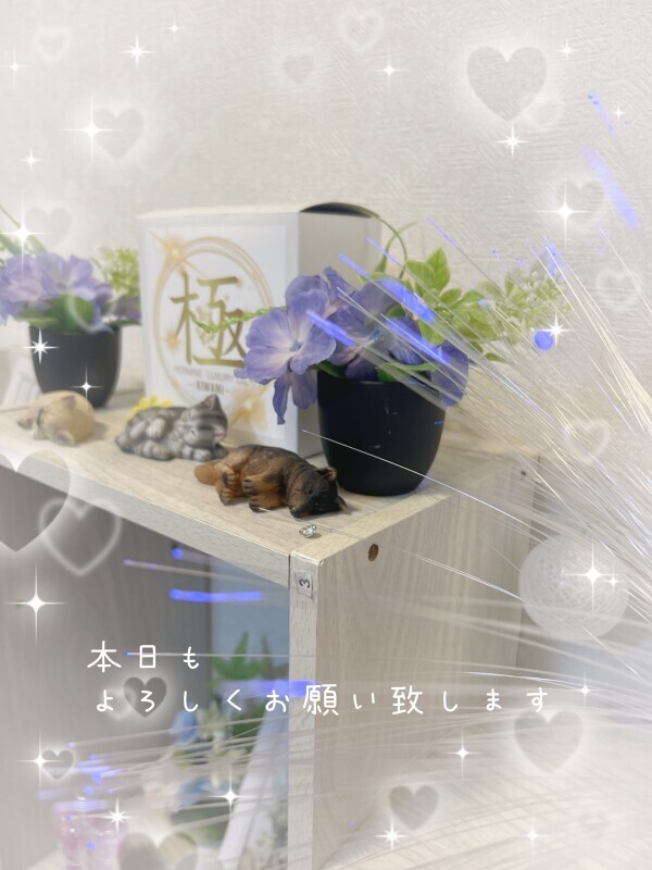 準備完了です😊