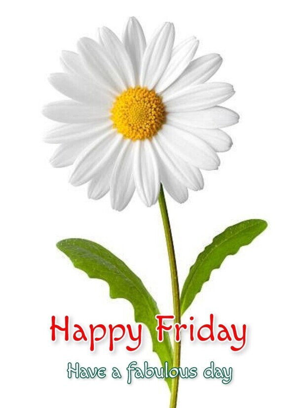 おはようございます