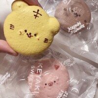 おはようございます