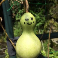 おはようございます🌞