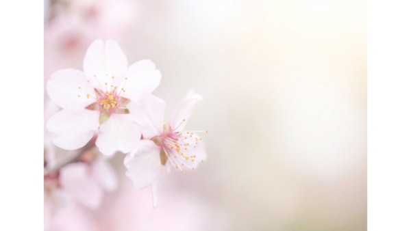今夜市原ルームです😊
