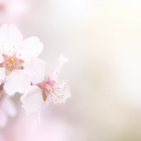 今夜市原ルームです😊