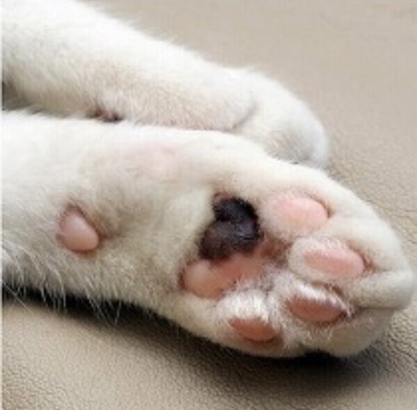 今日もありがとう❤︎