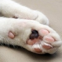 今日もありがとう❤︎