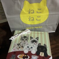 ありがとニャン🐈‍⬛