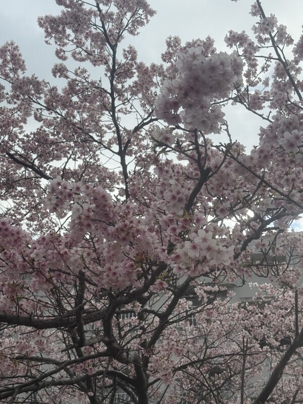 おはようございます