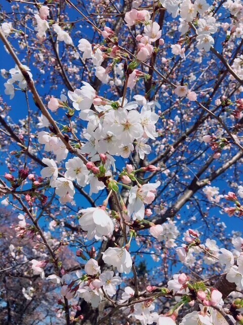 おはようございます！