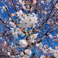 おはようございます！