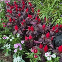 よろしくお願いします