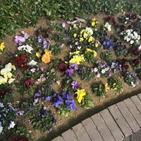 お疲れ様です😊