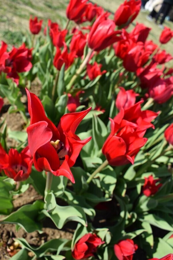 ありがとうございました✨