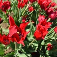 ありがとうございました✨