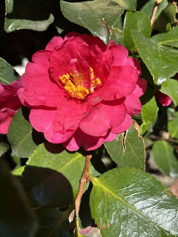 おはようございます🧡