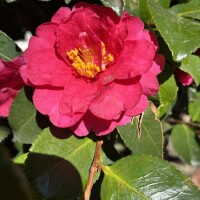 おはようございます🧡