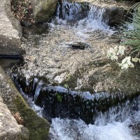 おはようございます