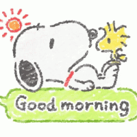 おはようございます☀️