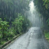 おはようございます