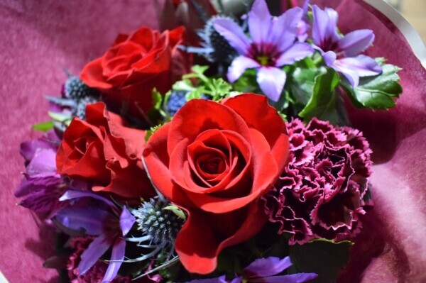 ありがとうございました🌼