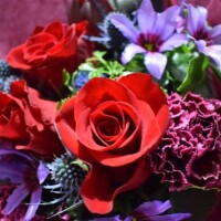 ありがとうございました🌼