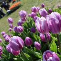 おはようございます🌞