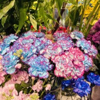 おはようございます🧡