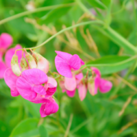 おはようございます