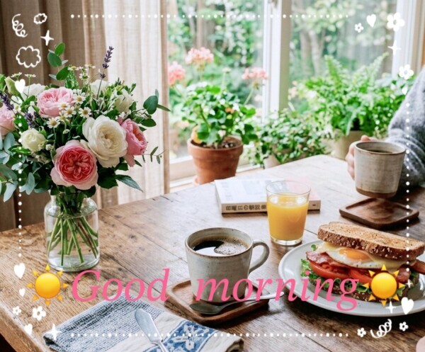 今日はおやすみです！