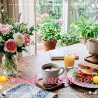 今日はおやすみです！