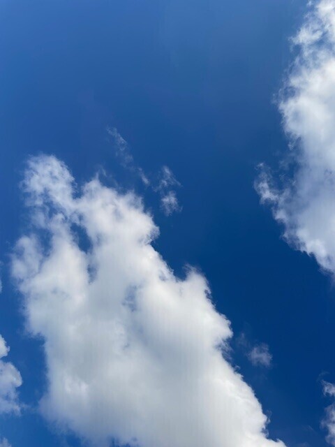 おはようございます🌈